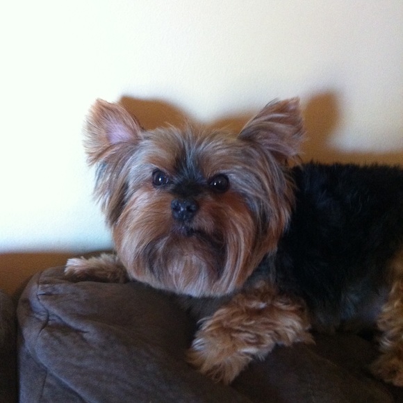 Meet your Posher, Jannesse! - Picture 4 of 6